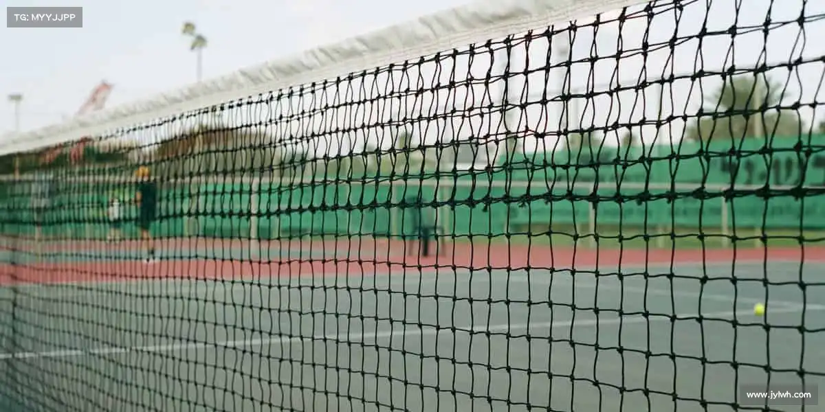 milan米兰🧗‍♀️向上攀登，向下扎根 —— 体育精神，永不言弃！